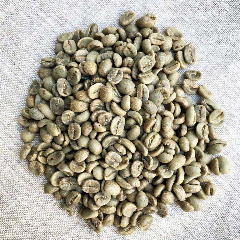 生豆 グアテマラSHB 1kg | 生豆 | 【公式直販】SAO PAULO COFFEE