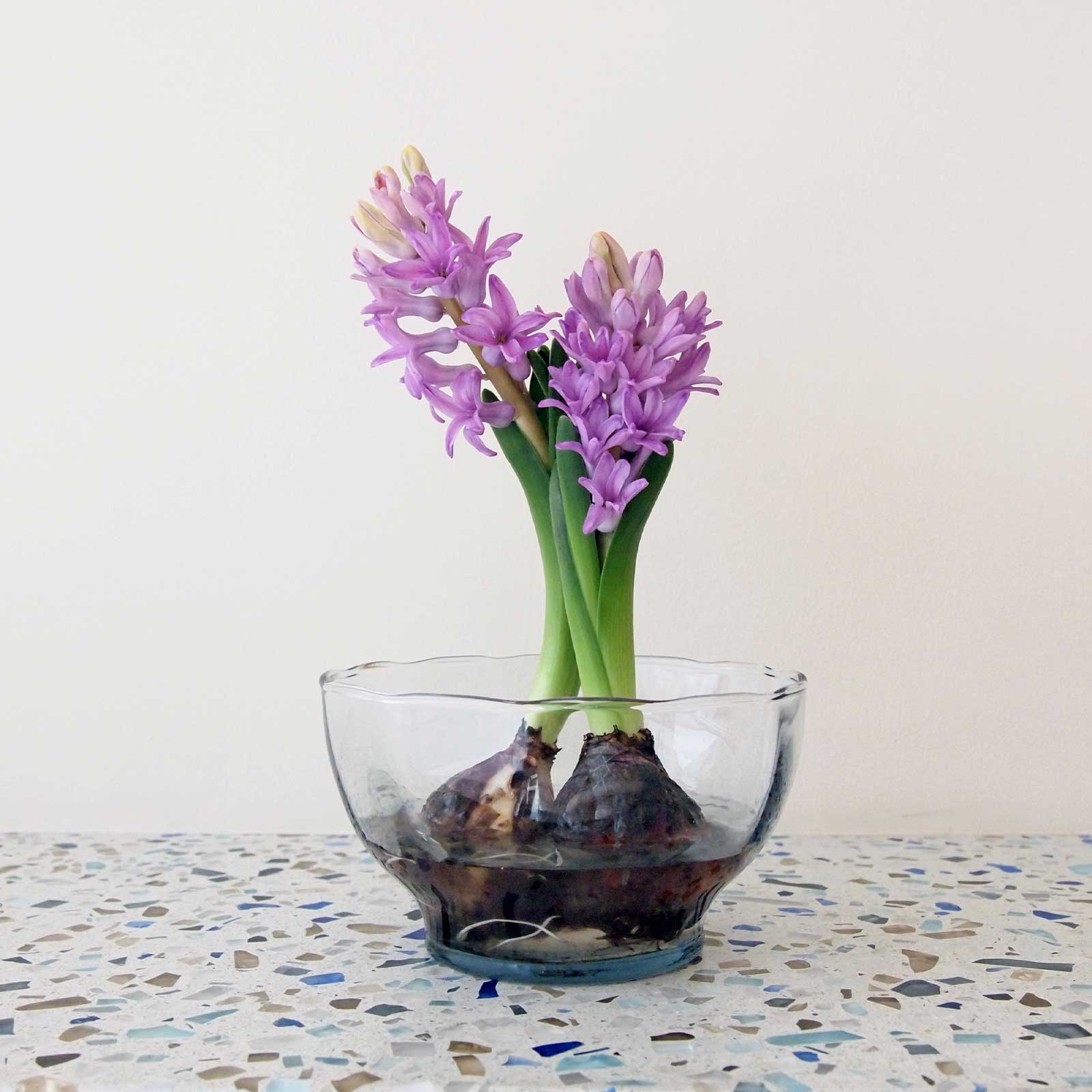 ア リトル モア：サラダボウル モール | ボウル・鉢・碗 | Sghr