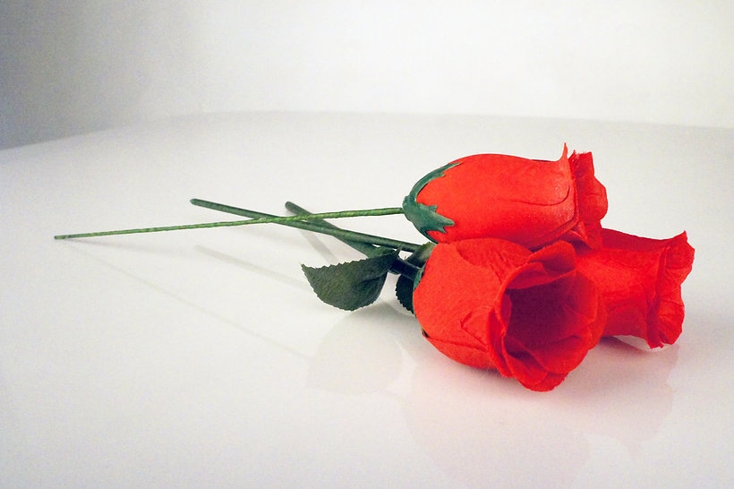 ザ・ローズ ｜全商品一覧や手品グッズ揃うマジックショップ｜セオマジック