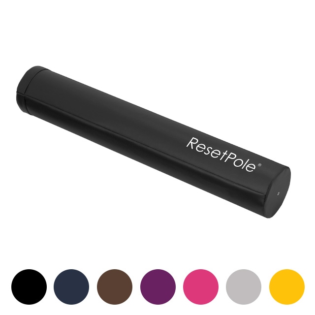 リセットポール ベーシック RP-800