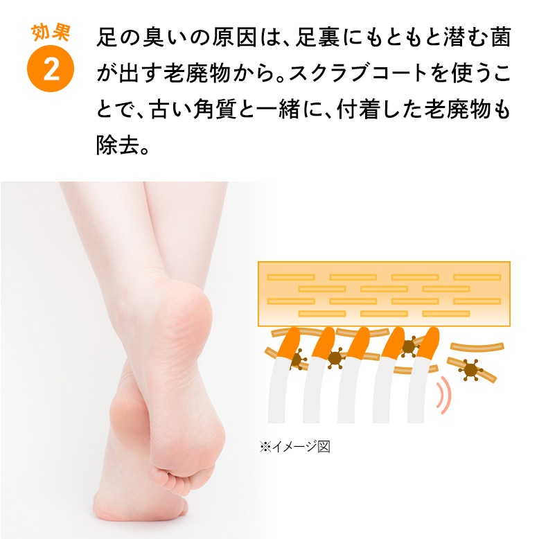 特許技術の足裏ブラシ】フットグルーマーグラン - サンパック公式通販