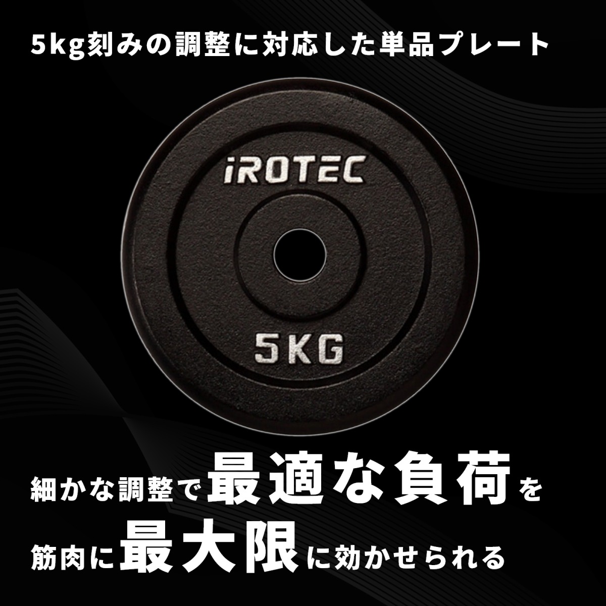 アイアンプレート5kg(1枚)【穴径29mm】 IROTEC (アイロテック)