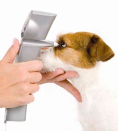 トノベット手持眼圧計TV01 ※販売終了 | 動物医療機器、動物病院の