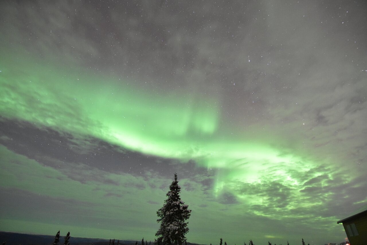 コディアック カリブロッジ オーロラフェード Fairbanks Lodge 少人数