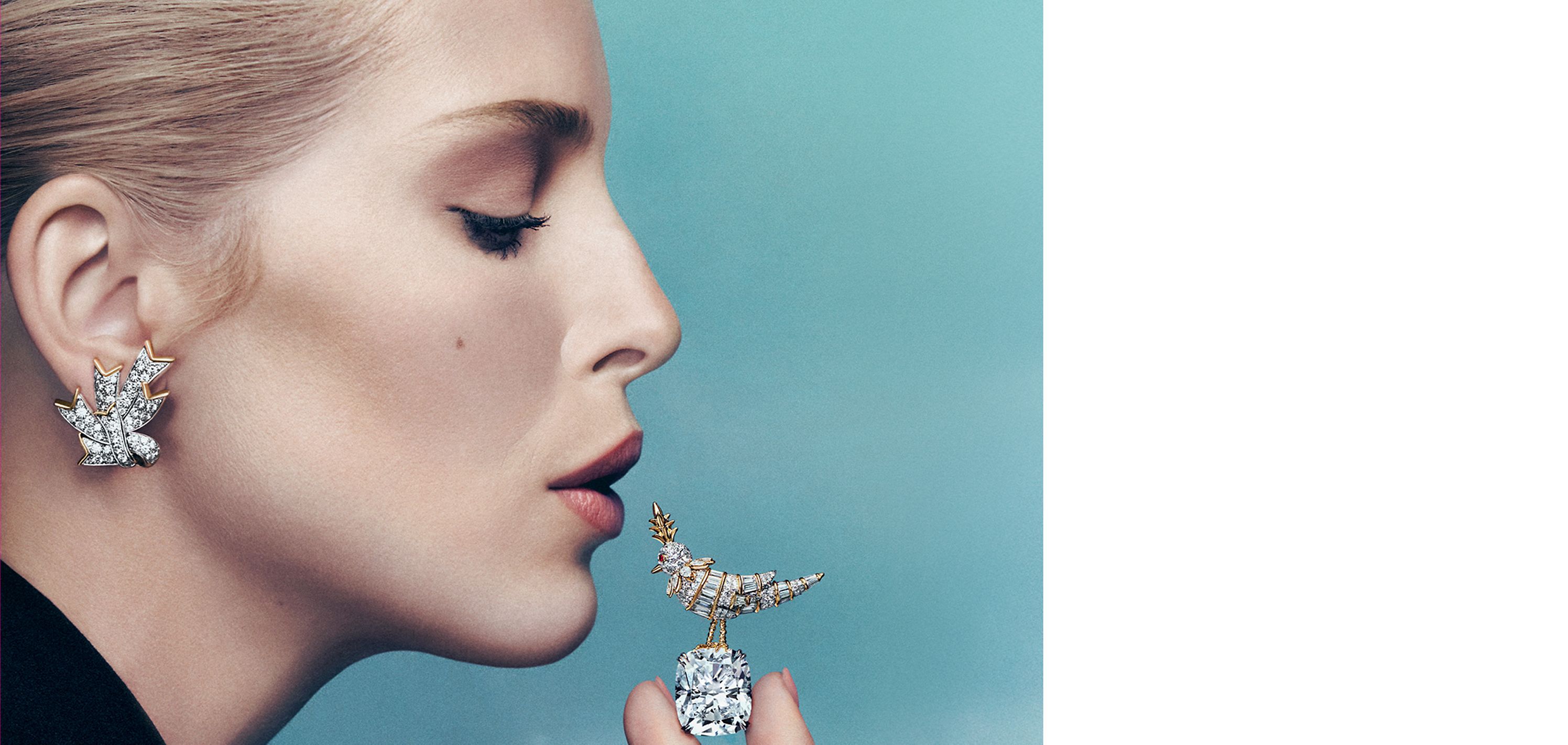 新しいバード オン ア ロック デザイン | Tiffany & Co.