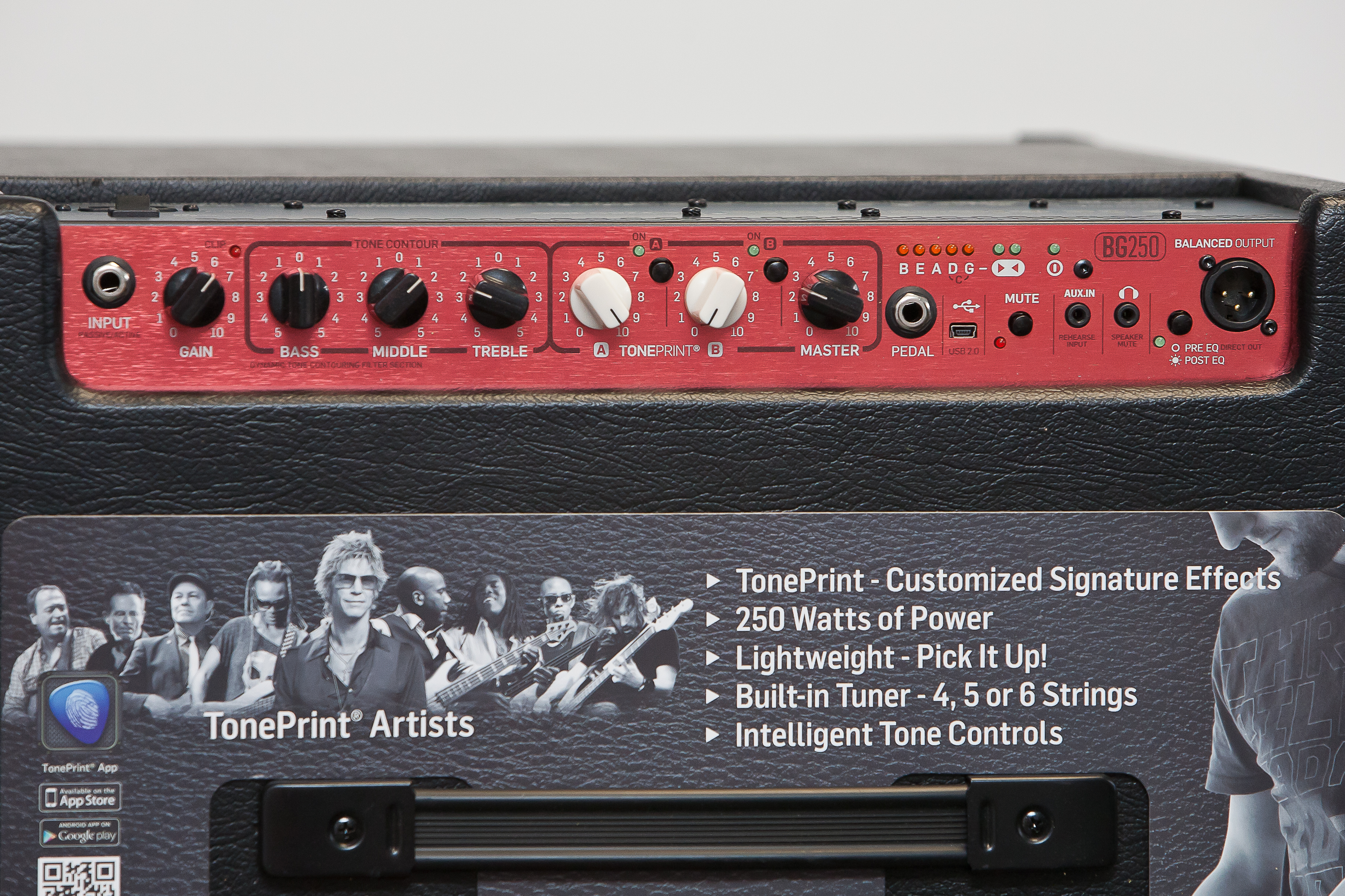 TC Electronic BG250-210 Bass Combo Review : Please Turn on Your