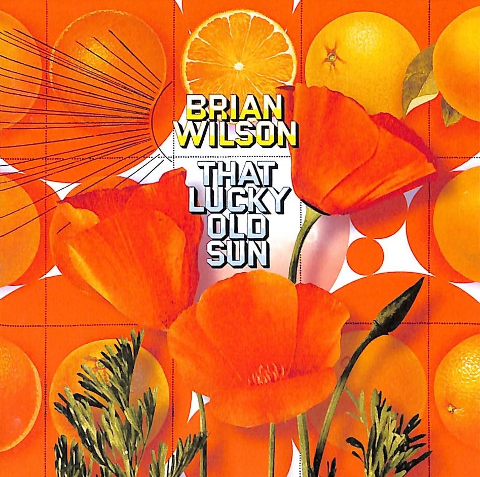 芽瑠璃堂 ＞ ブライアン・ウィルソン 『ザット・ラッキー・オールド