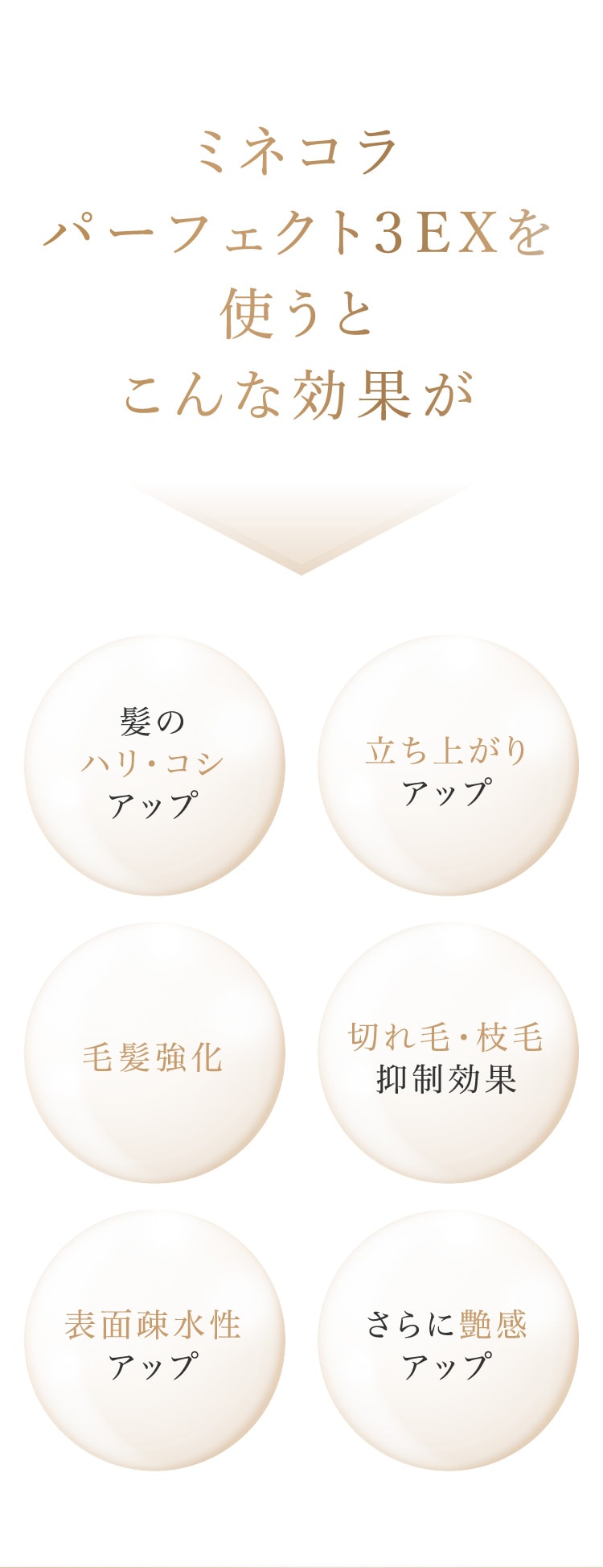 ミネコラパーフェクト3EXシリーズ