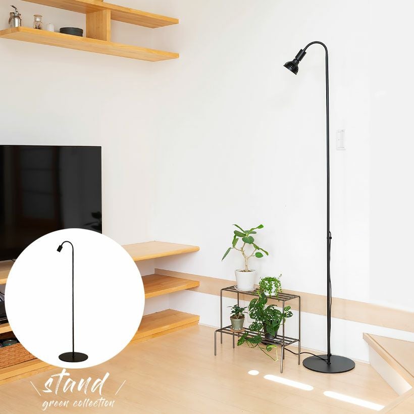 000000007247-01.jpg?size=m&w=