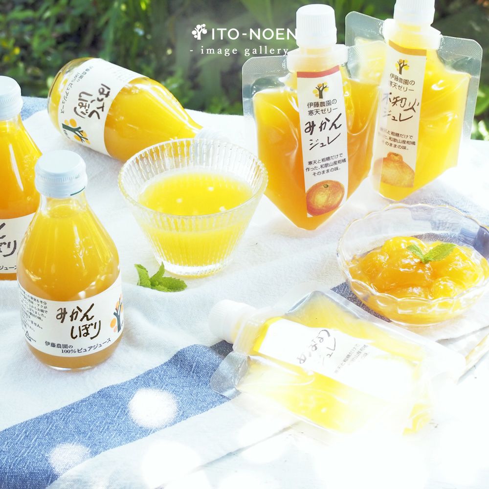 初回限定】【通常価格より804円引】お試しきくちゃんセット(みかん