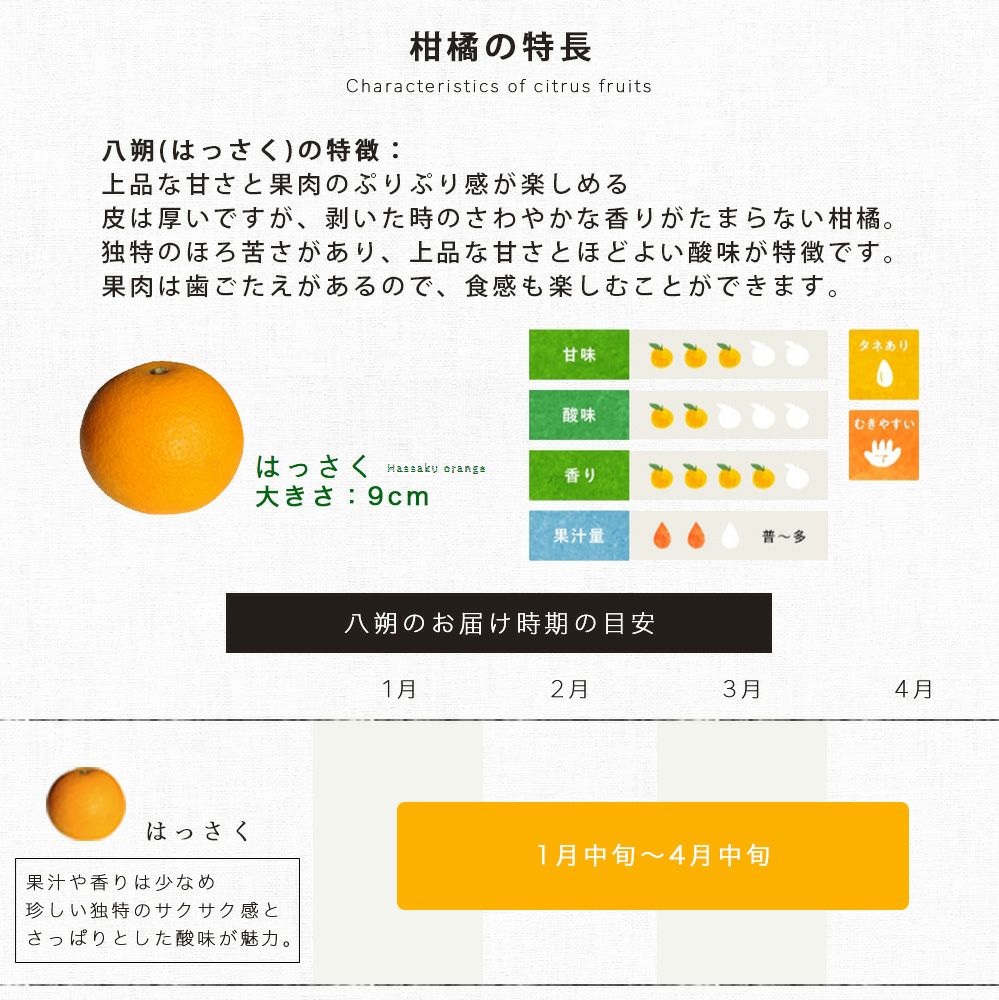 春季限定】八朔(はっさく)【贈答用(特選品)】[5・10kg] | 有田みかん