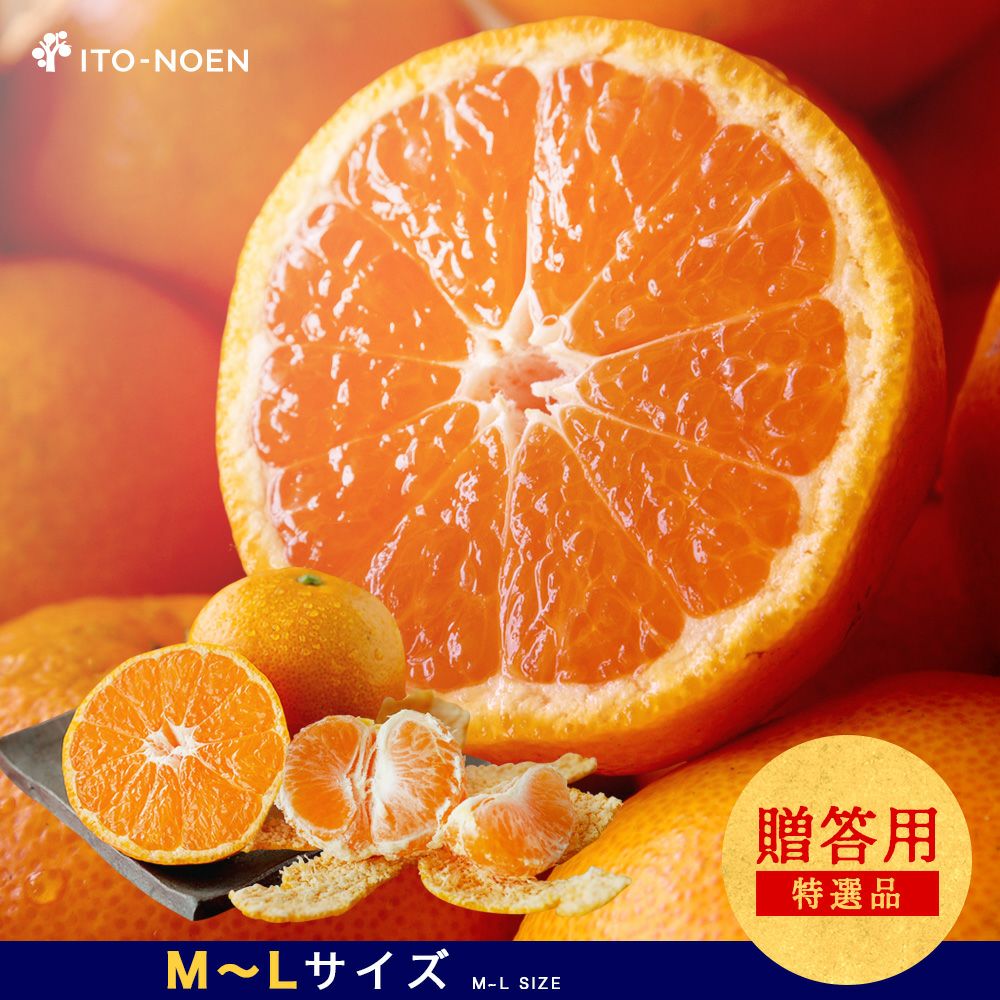 お届け予定が選べる♪｜お届け予定より発送予定】有田みかんミックス