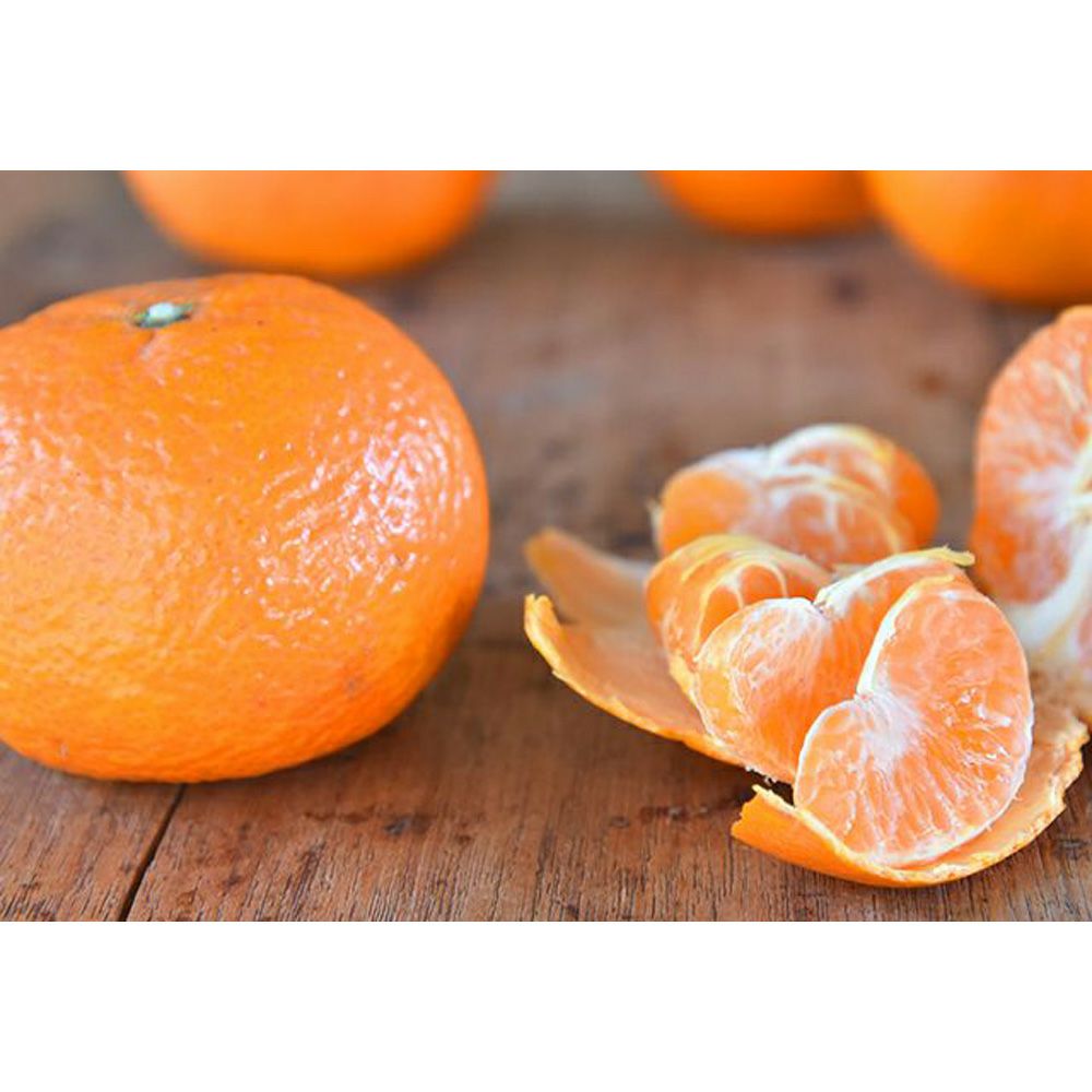 NEW】津之輝（つのかがやき） 限定販売 | 有田みかん・和歌山県産柑橘