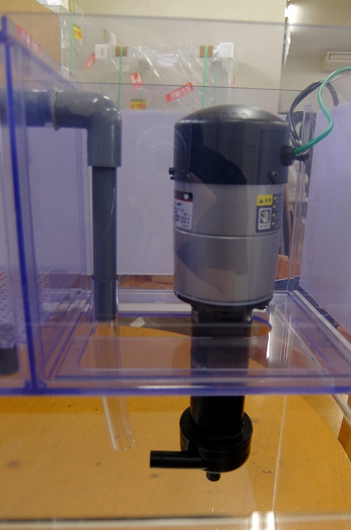 60cm用大型上部フィルター&レイシーP-315セット - 熱帯魚のmishima