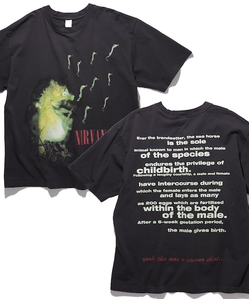 NIRVANA ALL APOLOGIES クルーネックバンドTシャツ｜フリークスストア