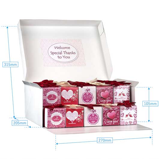 わくわくバレンタインBox スタンダードプレート モモフク