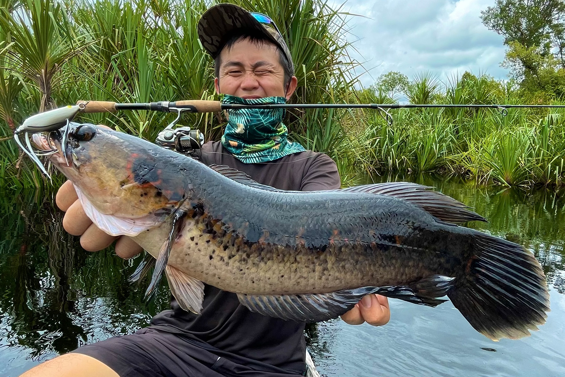 Dear Monster MX-5S - Monster Kiss モンスターキス