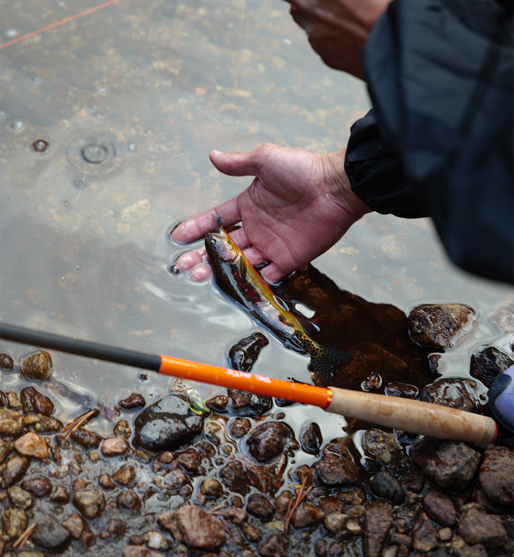 PA'LANTE tenkara rod / パランテ テンカラロッド