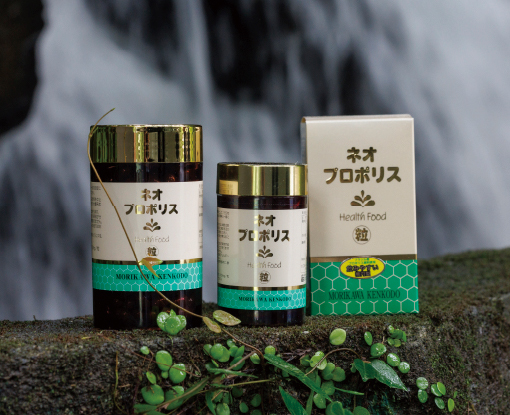 プロポリス | 森川健康堂株式会社