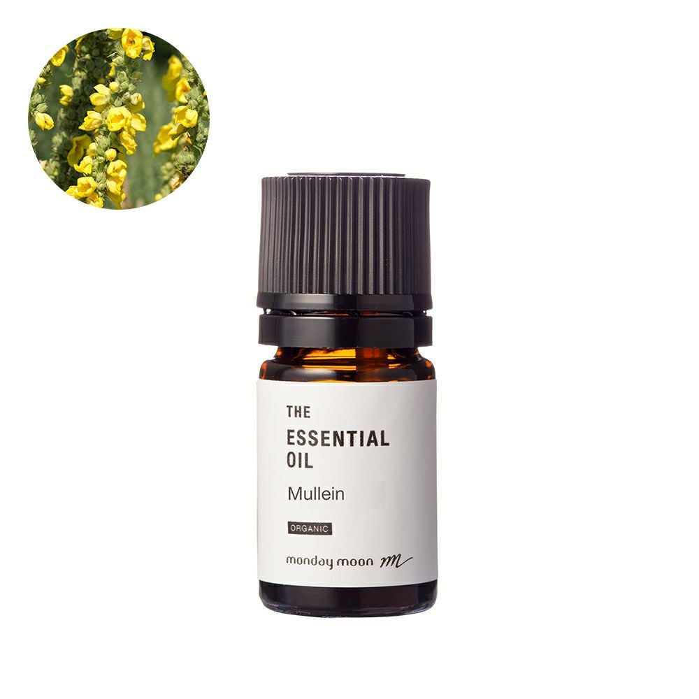 今だけP10倍】カメリアブロッサム・アブソリュート・オーガニック／2ml