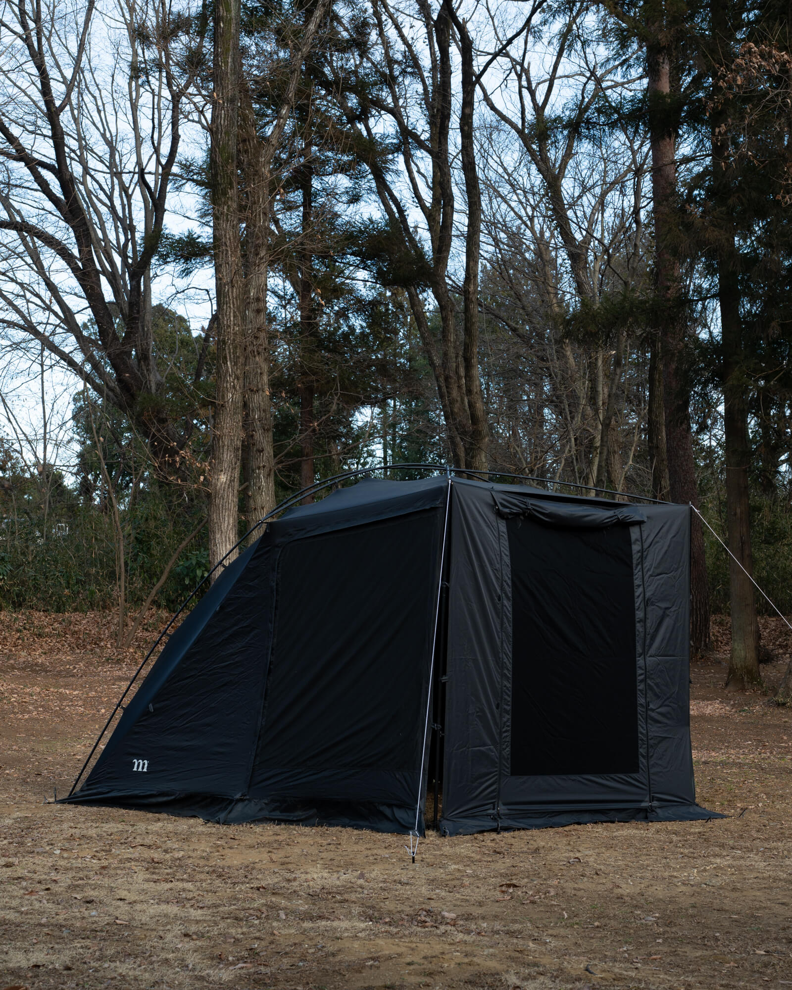 2000_1600-3.jpg?v=1740390136