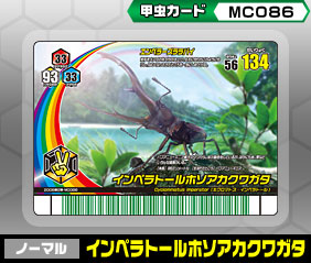 甲虫カード -MC086 インペラトールホソアカクワガタ-