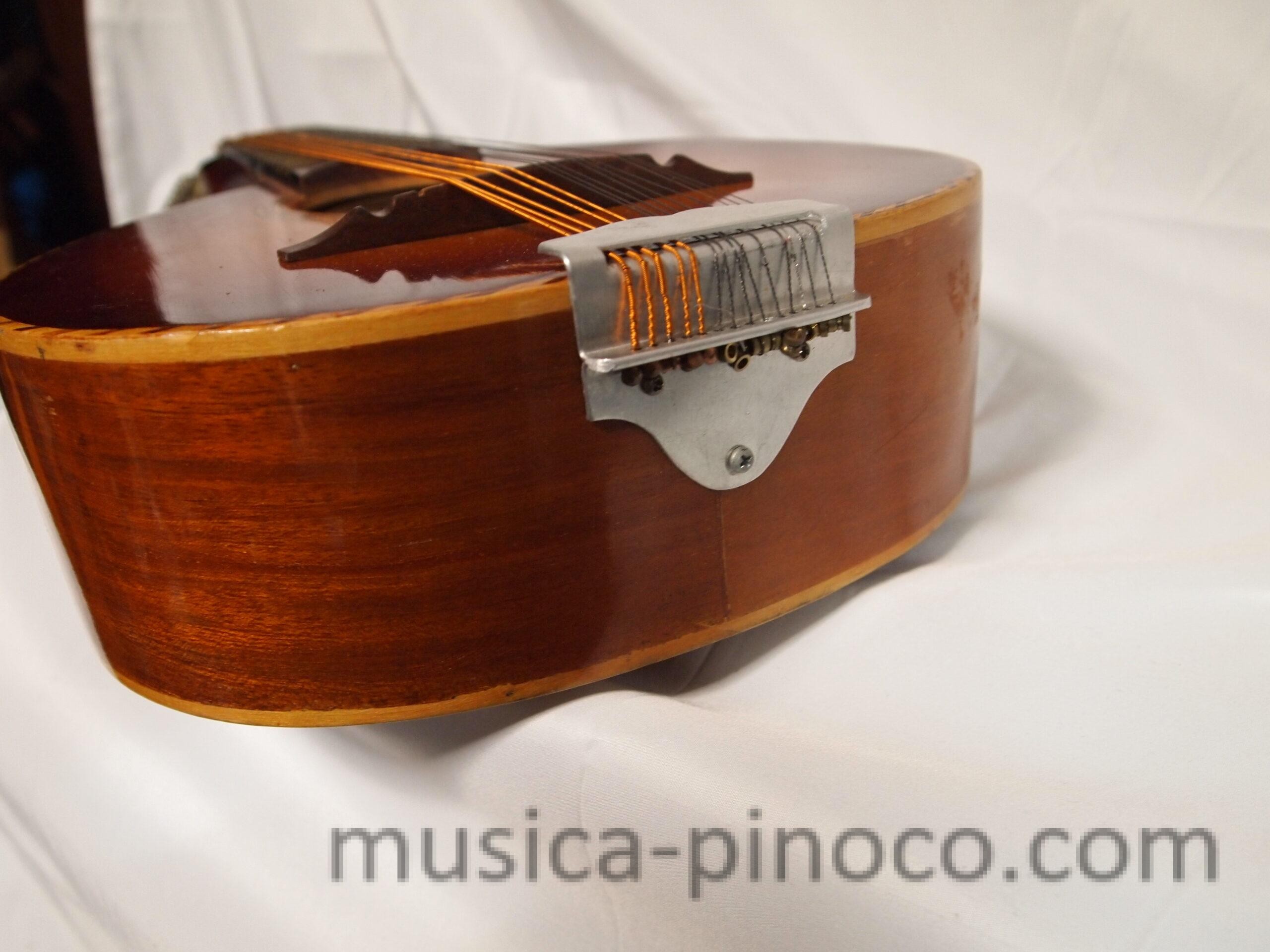 バンドゥリア（14弦）(Bandurria 14Strings)※ - MUSICA PINOCO