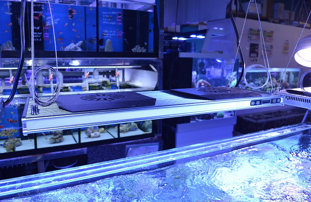 新型LED販売開始！フルスペックLED『レブロン』 | 生麦海水魚センター