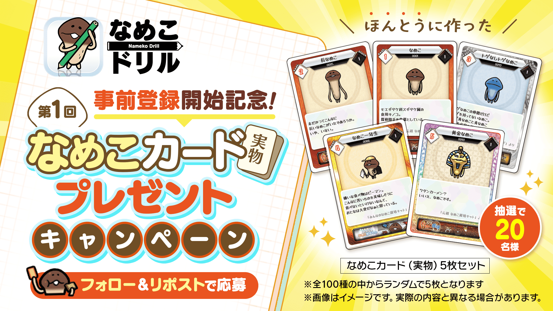 ドリル】なめこカード（実物）プレゼントキャンペーン第1弾のお知らせ