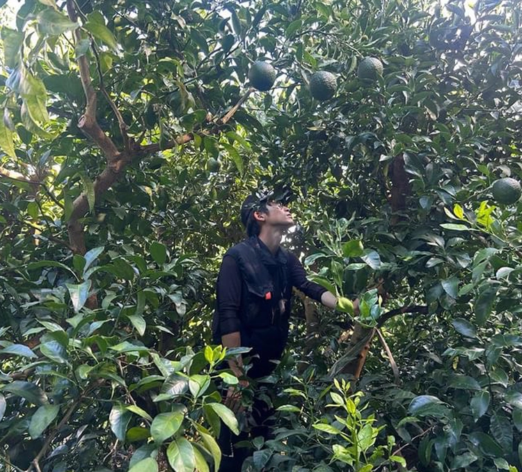 三重県南伊勢町で【内瀬みかん】を育てているアサヒ農園