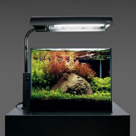 ADA ソーラー・ミニ ブラックタイプ新発売。 - What's New｜Aqua