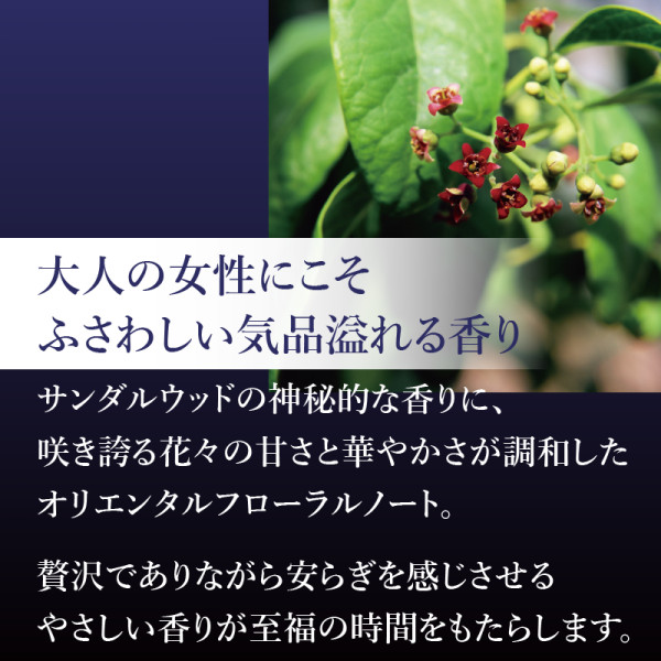 通常購入】ロズマリスト | ナガセビューティケァ公式ショップ