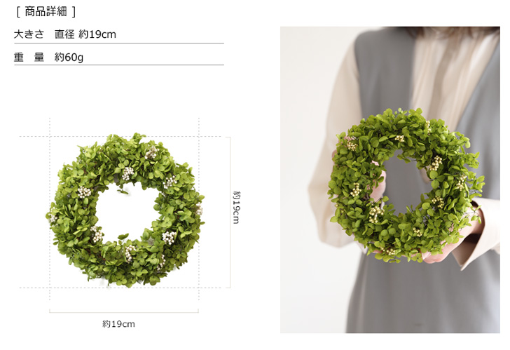 アナベルリース ミニ｜プリザーブドフラワー 母の日 2025 ギフト 送料