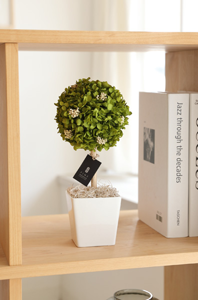 アナベルトピアリー - インテリアグリーン インドアグリーン 枯れない