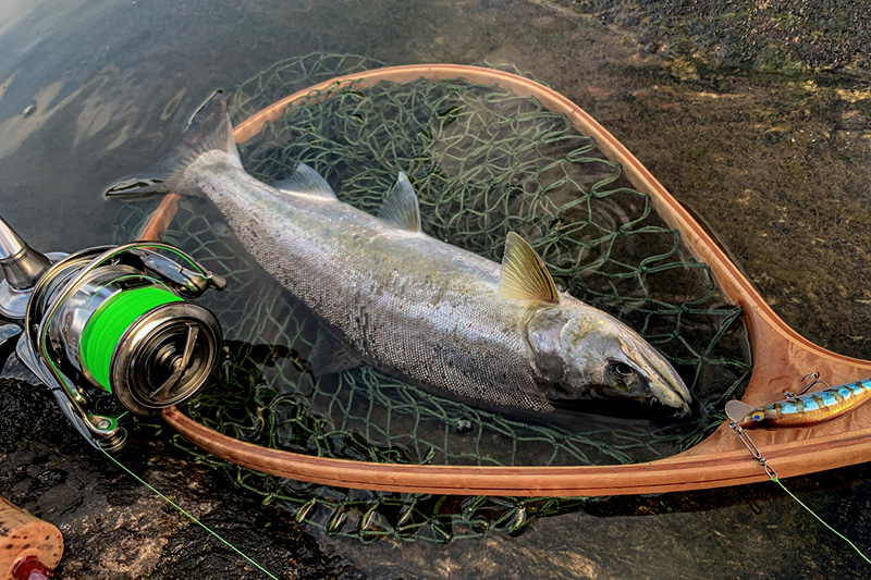 ニュース（総合ブログ） ｜Casket カスケット