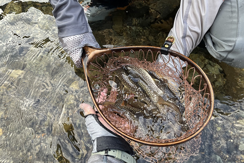 アルセドクライマー｜ニュース（総合ブログ） ｜Casket カスケット
