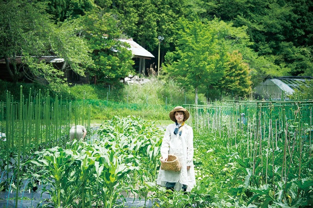 たかつきDAYS】農のある暮らし｜ウォーカープラス