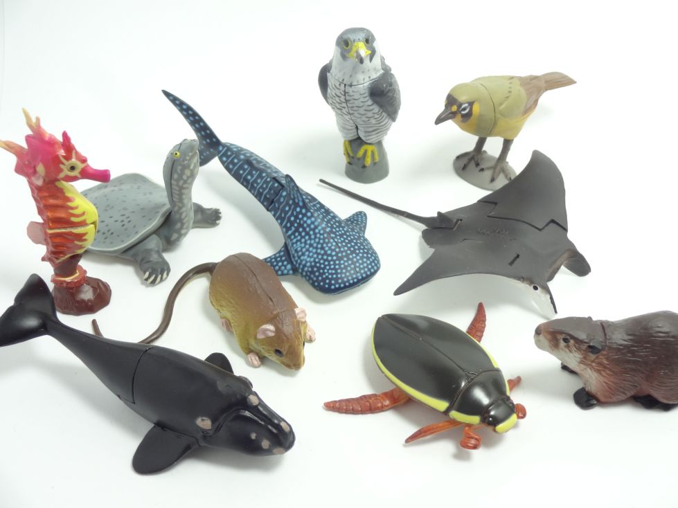 チョコエッグ日本の動物3