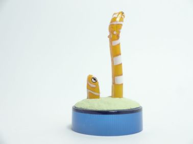 日本水族館立体生物図録6