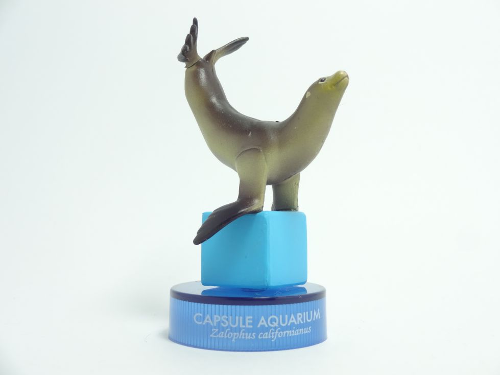 日本水族館立体生物図録6