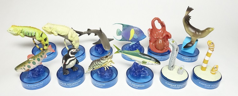 日本水族館立体生物図録6