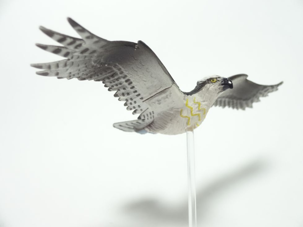 チョコエッグ鳥編