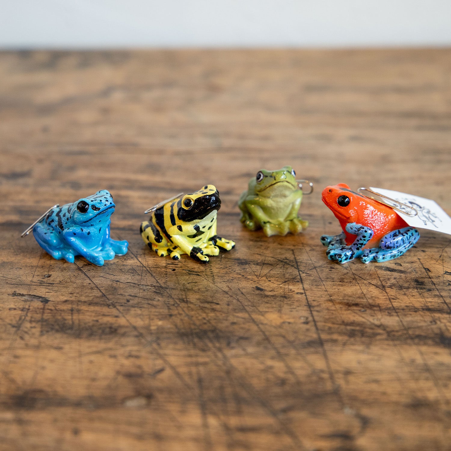 magnet / マグネット マグネット ヤドクガエル（青） – ニコノマニマニ