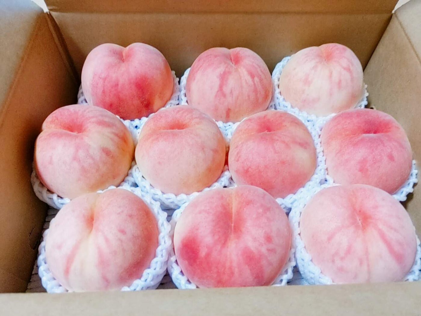 桃 【遠藤農園】 もも 3.5kg 大玉9～12個 贈答 品種色々 福島県 《7月