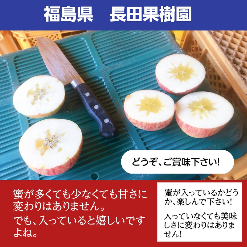 りんご 【長田果樹園 】サンふじ 小玉 ミニ 訳あり 家庭用 10kg 46個