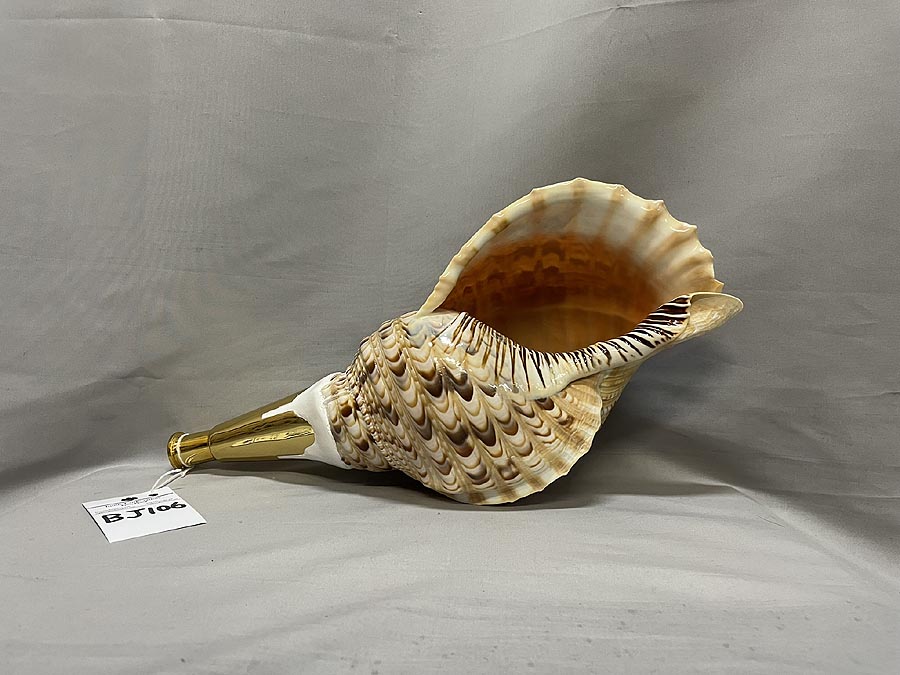 法螺貝 約33.5㎝ 木製歌口,新品 MH-457 法螺貝 約33.5㎝ 木製歌