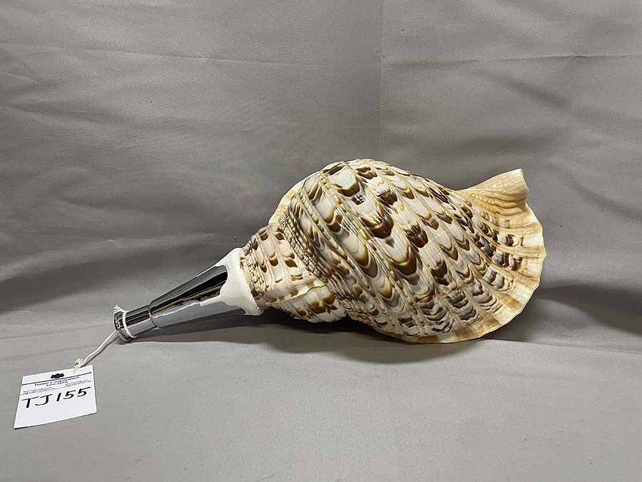 法螺貝（ほら貝）、歌口（吹き口）付 制作、販売、修理、特価在庫