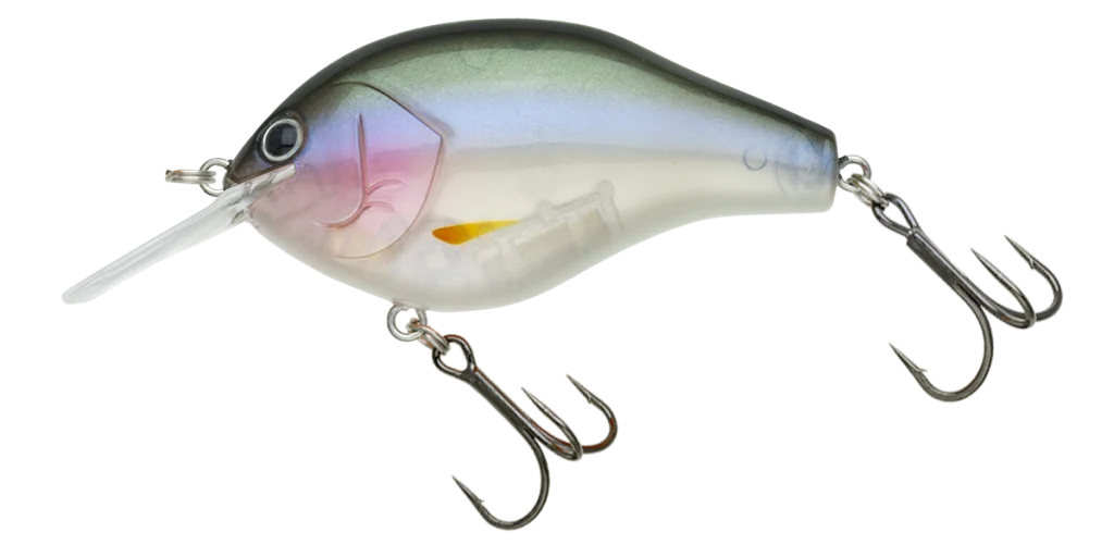 MARUNOMI_FLAT_60_301_-1024x512