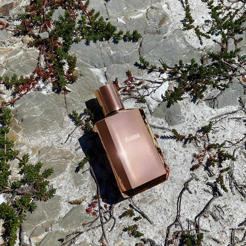 エロス – NOSE SHOP