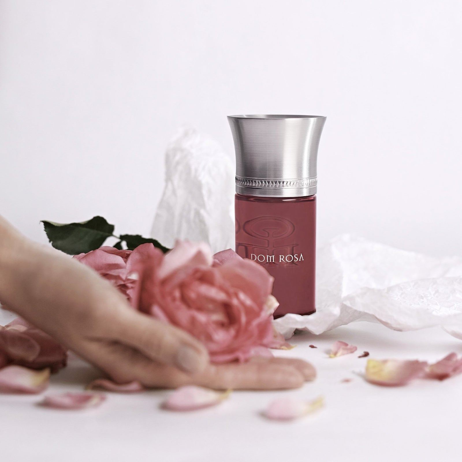 LiquidesImaginaires_DOMROSA_1_